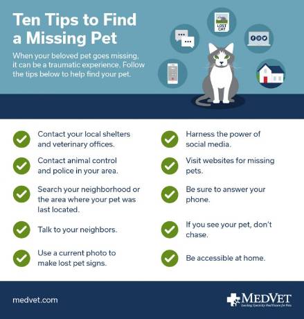 Ten-Tips-to-Find-a-Missing-Pet-733x768 - Copy (3)